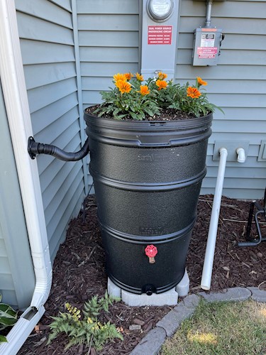 rain barrel