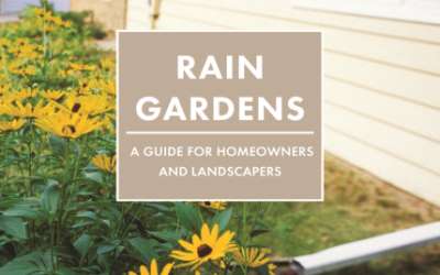 DNR's Rain Garden Manual